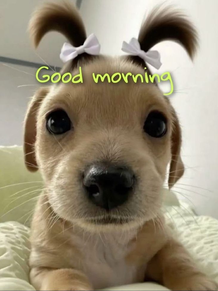 Hey people